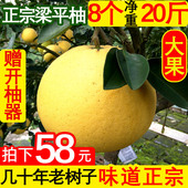 重庆特产梁平柚麻柚子平顶柚梁山柚现摘当季 新鲜水果20斤8个装