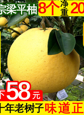 重庆特产梁平柚麻柚子平顶柚梁山柚现摘当季新鲜水果20斤8个装