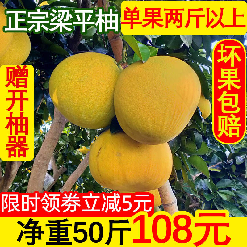 重庆特产梁平柚梁山柚麻柚子平顶柚当季新鲜水果50斤单果两斤以上