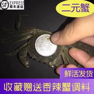 活蟹满黄河蟹一元蟹二元蟹小螃蟹鲜活大闸蟹香辣蟹现货水产包邮,水产肉类/新鲜蔬果/熟食,大闸蟹,淘宝优惠券,粉丝福利购,淘宝优惠卷