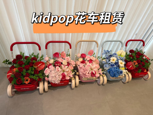 出租 kidpop宝宝学步车仿真花推车儿童推车周岁入场仪式周岁生日