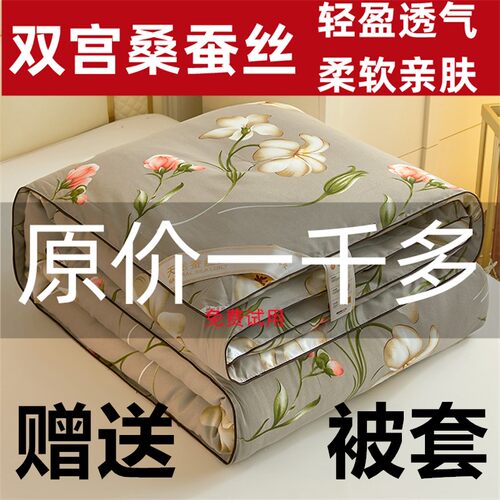 正品桑蚕丝被冬被被子轻盈透气柔软亲肤加厚四季被春秋被子送被套