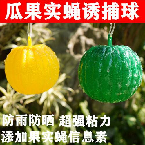 果蝇诱蝇球诱捕器引诱剂果园粘虫