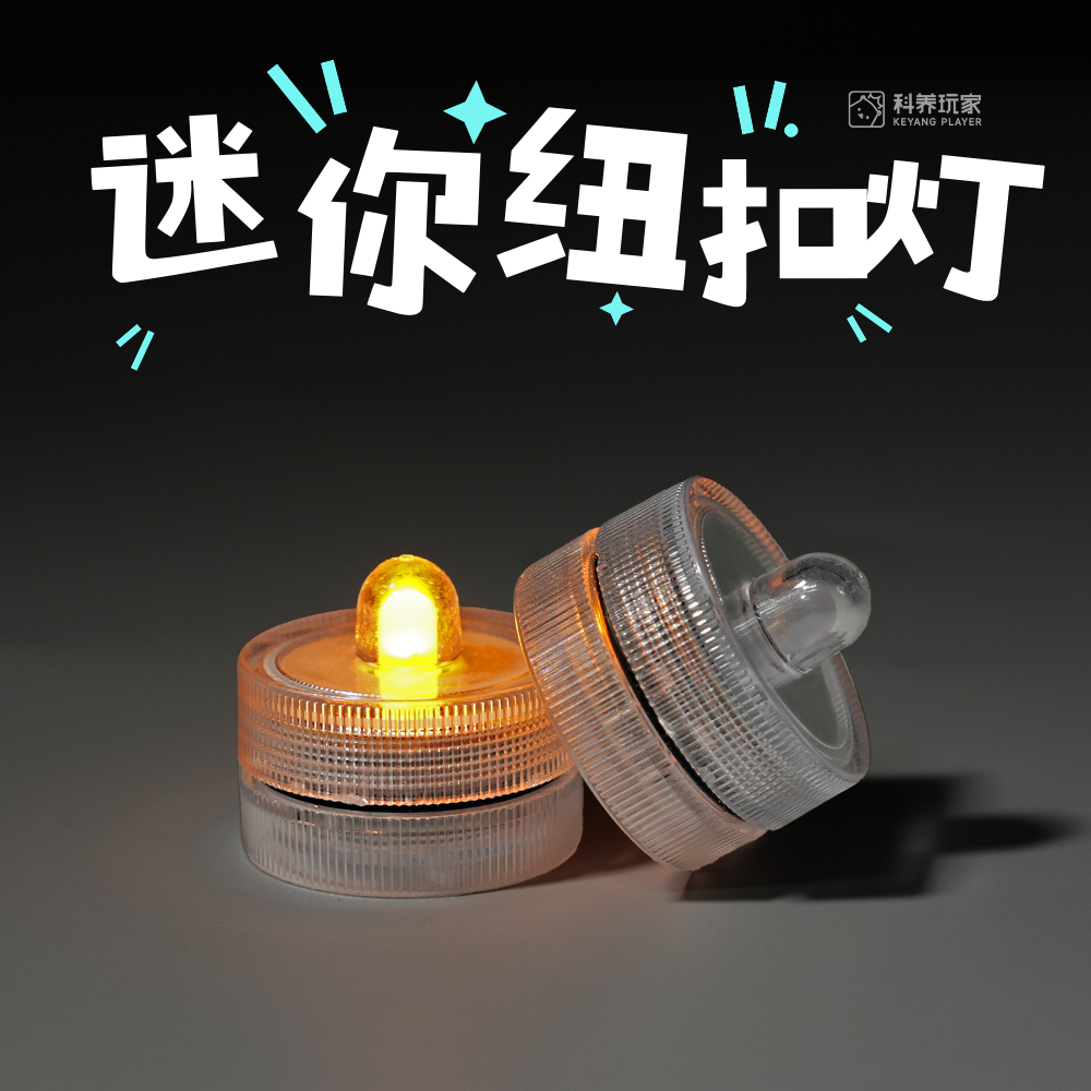 跳蛛饲养盒纽扣灯氛围灯蜡烛灯