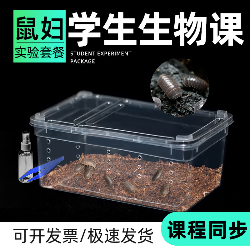 鼠妇学生实验盒生物课科普宠物西瓜虫活虫迷你教材学观察课程