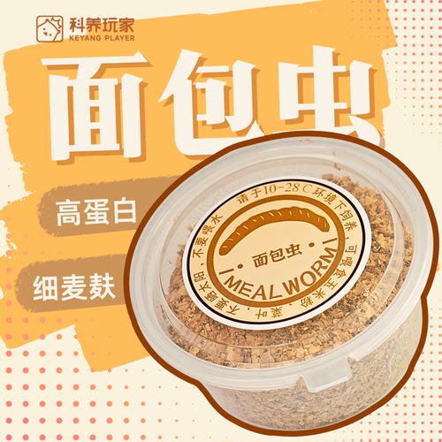 面包虫饲料小黑的动物园