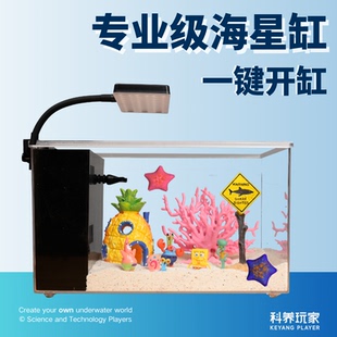 家用客厅懒人塑料造景中小型生态桌面鱼缸水族箱 海星专用海缸