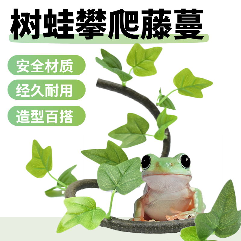 树蛙攀爬雨林缸造景空中休息