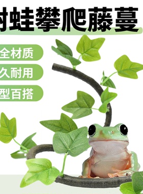 【树蛙攀爬】爬宠姥爷树蛙攀爬雨林缸造景空中休息仿真叶子藤蔓