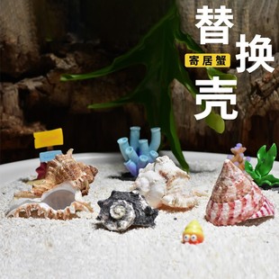 寄居蟹替换宠物壳天然贝壳海螺壳diy造景鱼缸水族摆件装饰套装