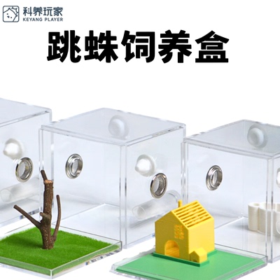 宠物跳蛛蜘蛛饲养盒饲养箱透明亚克力高透 透气 盒子造景 保湿