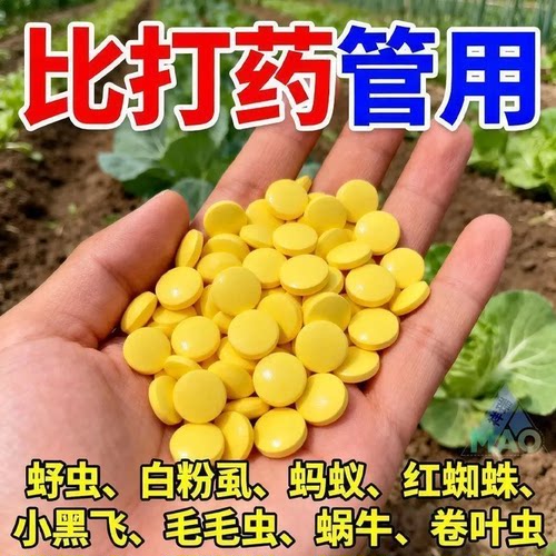 糖化硼肥片植物防虫片园艺多肉蔬菜花卉菜地小黑飞白粉虱蚜虫驱虫