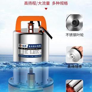 直流潜水泵48v60v抽水泵12V24V伏家用电瓶车小型电动车农用抽水机