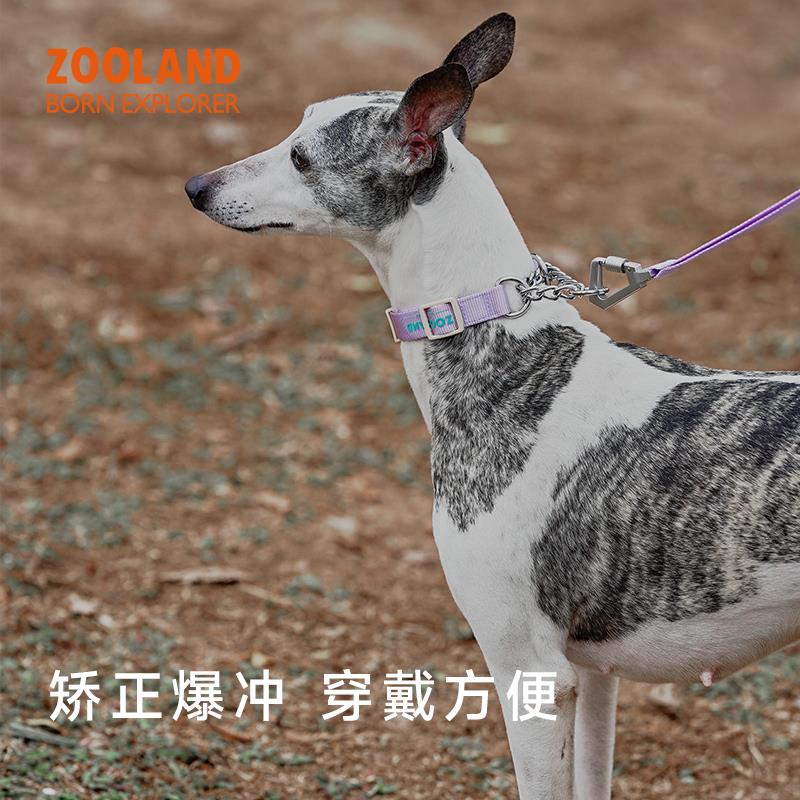 ZOOLAND宠物狗狗脖圈半P链项圈遛小中型犬法斗防爆冲颈圈牵引绳子