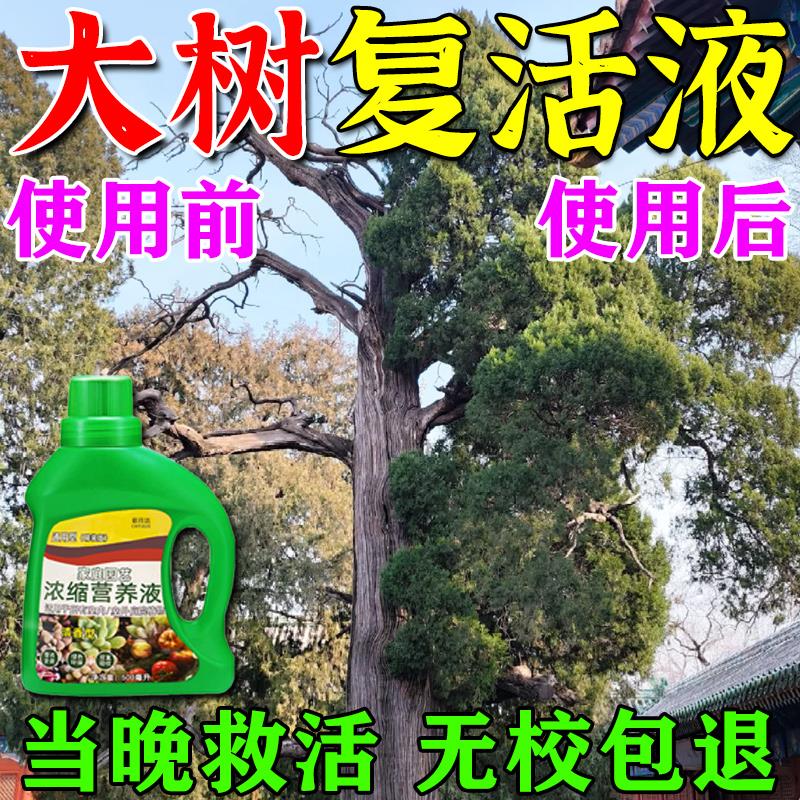 大树营养液吊针袋果树移栽树木激活液强力生根药水枯树再生覆活液