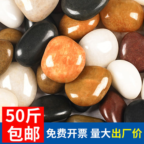 50斤天然鹅卵石白色五彩雨花石
