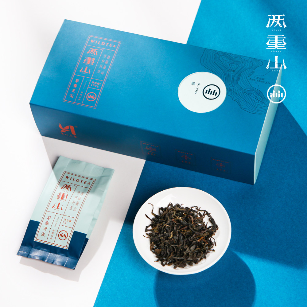 两重山安化黑茶正品 正宗特级野生天尖茶 湖南特产小袋散装100g