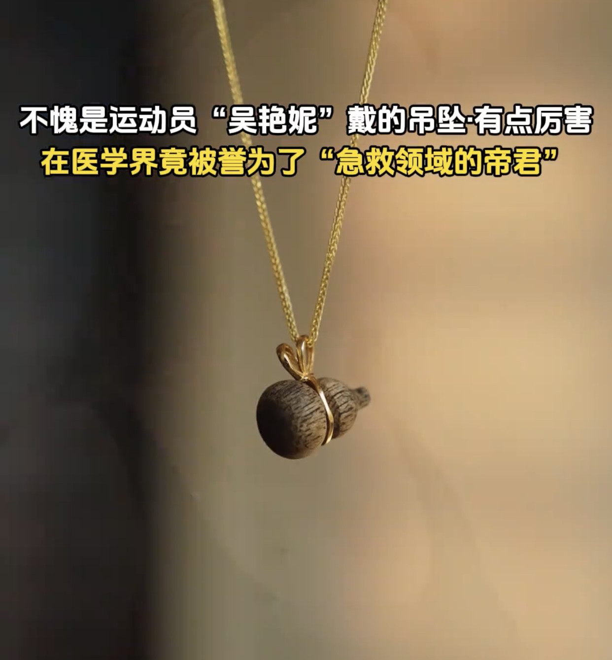 沉香葫芦吊坠项链寓意福禄双全好运翻倍精致百搭中国风古玩新中式