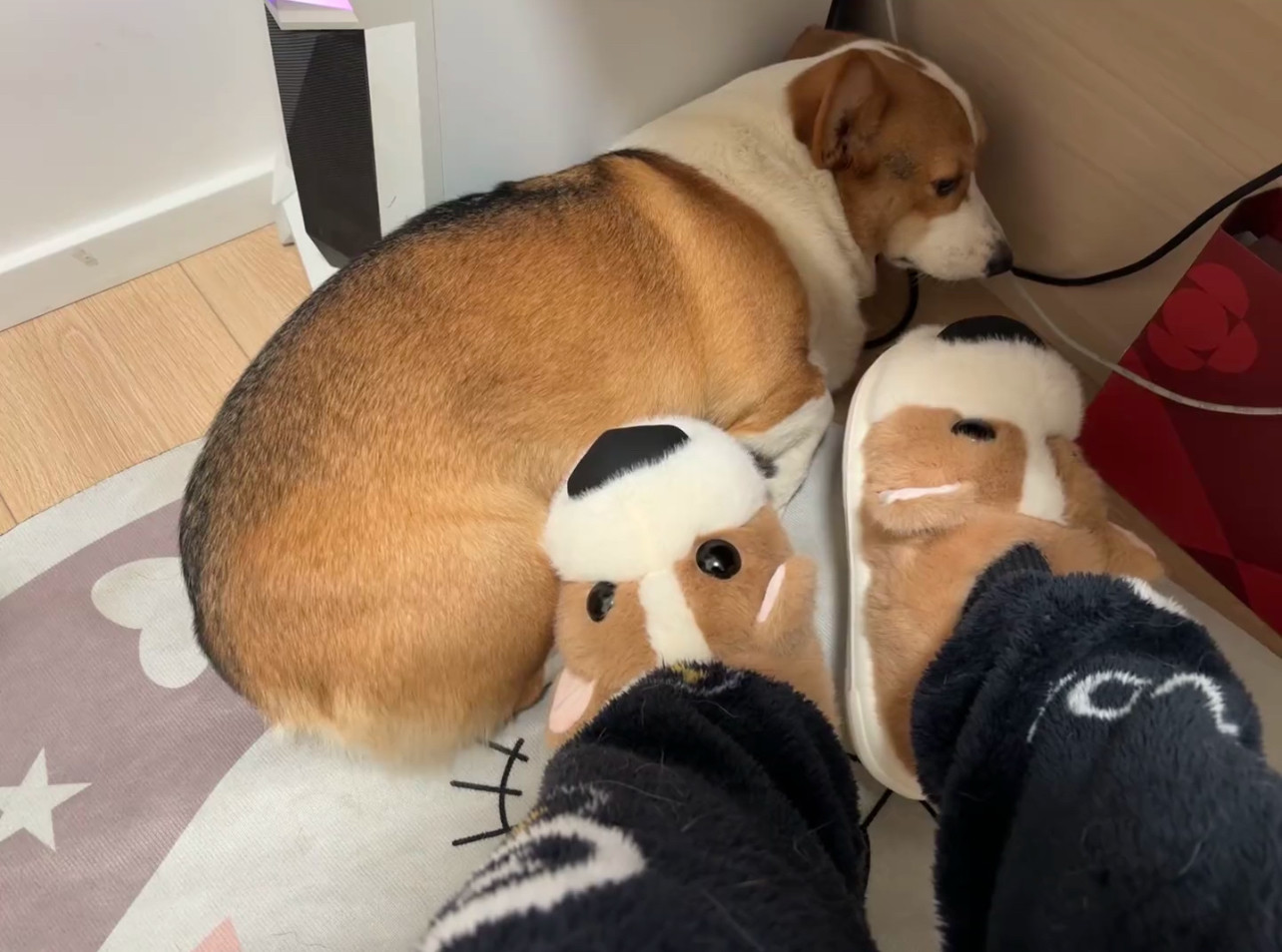 柯基棉拖仿真动物小狗可爱鞋子秋冬季保暖新款家居拖鞋情侣款