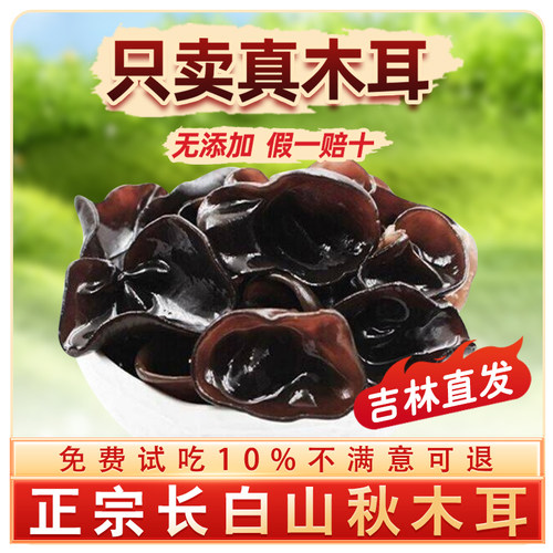 长白山秋木耳东北特产黑木耳软糯