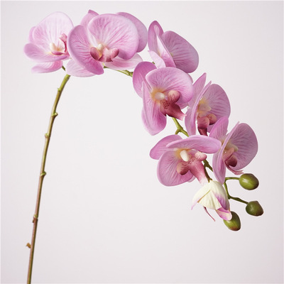 仿真花10头手感保湿洛桑蝴蝶兰卧室客厅花艺摆件拍照道具婚庆假花