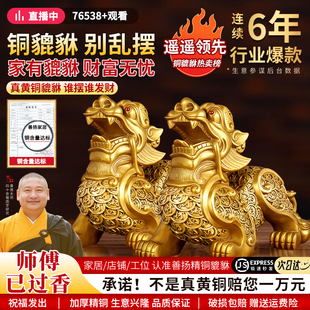 招财铜貔貅摆件公母一对纯黄铜聚财旺财金钱皮丘家居客厅店铺开业