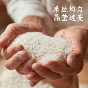 农夫山泉新大米多规格人气优选珍珠圆粒米煮饭无添加 东北香米