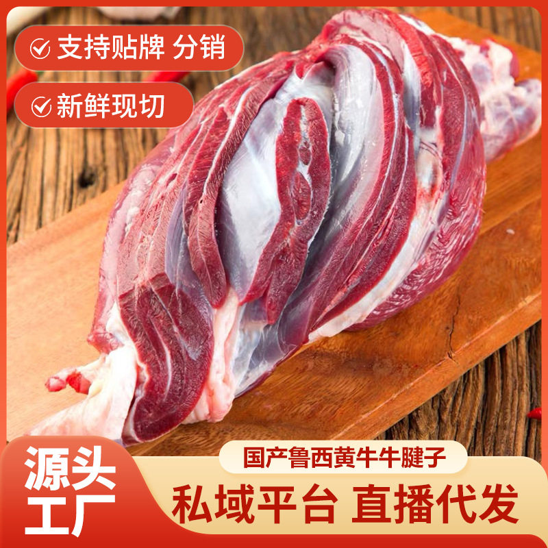 国产原切牛腱子批发生鲜商用火锅食材新鲜不调理牛腱肉5斤牛腱子