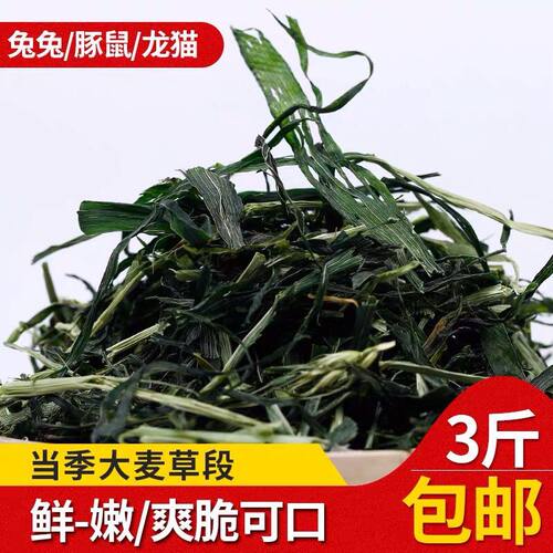 新大麦草200g干草