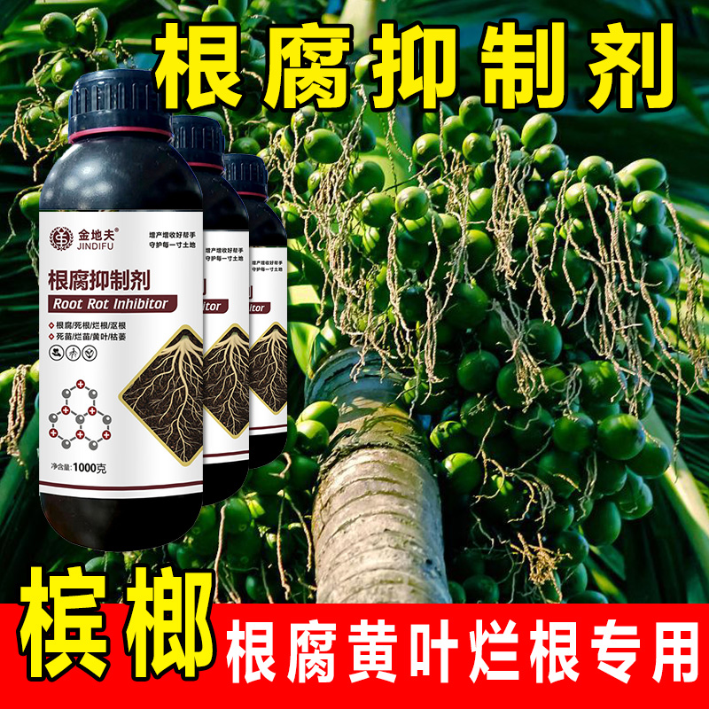 【槟榔专用】正品根腐抑制剂防治烂根黄叶枯萎猝倒死棵生根抗重茬