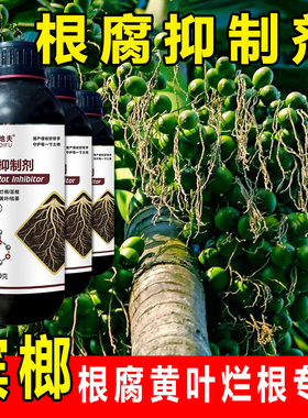 【槟榔黄叶】正品根腐抑制剂防治烂根黄叶枯萎猝倒死棵生根抗重茬