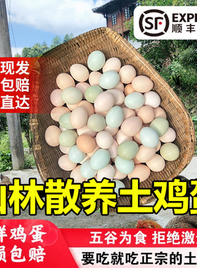桂林龙胜正宗农家散养土鸡蛋蓝皮乌鸡蛋无菌可生食坐月子专用无腥