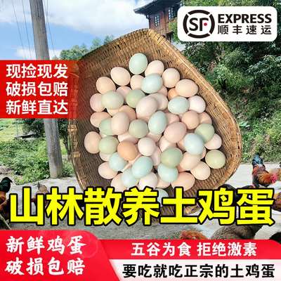 桂林龙胜正宗农家散养土鸡蛋蓝皮乌鸡蛋无菌可生食坐月子专用无腥