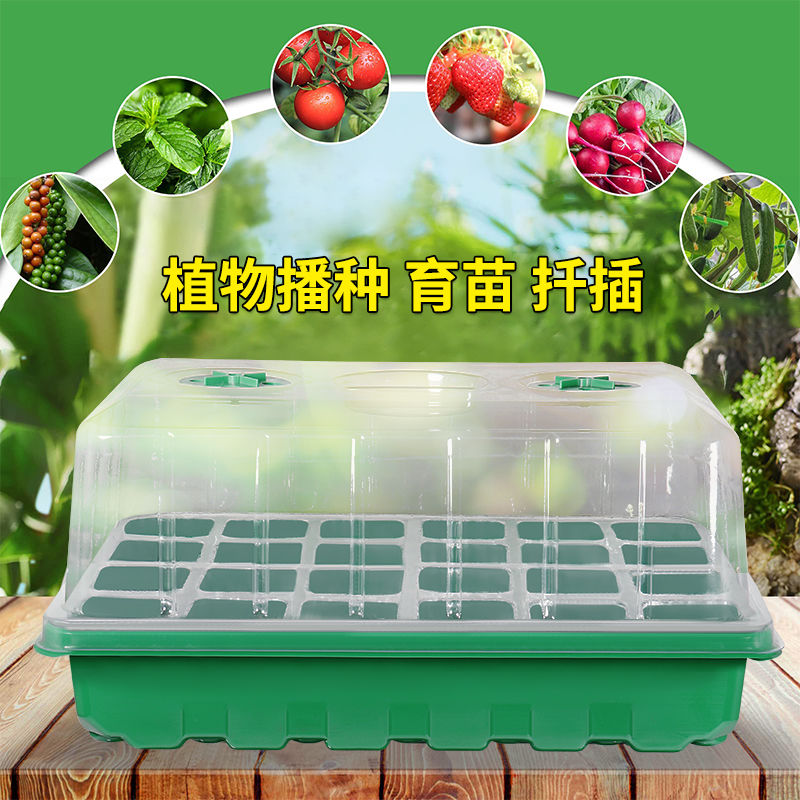 加大加厚48孔24孔长方形育苗盒带盖多肉育苗箱保温播种神器育苗盘