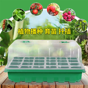 加大加厚48孔24孔长方形育苗盒带盖多肉育苗箱保温播种神器育苗盘