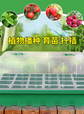 加大加厚48孔24孔长方形育苗盒带盖多肉育苗箱保温播种神器育苗盘