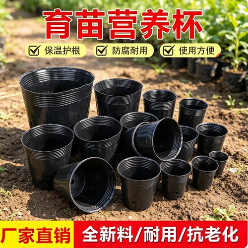 加厚黑色一次性育苗营养钵