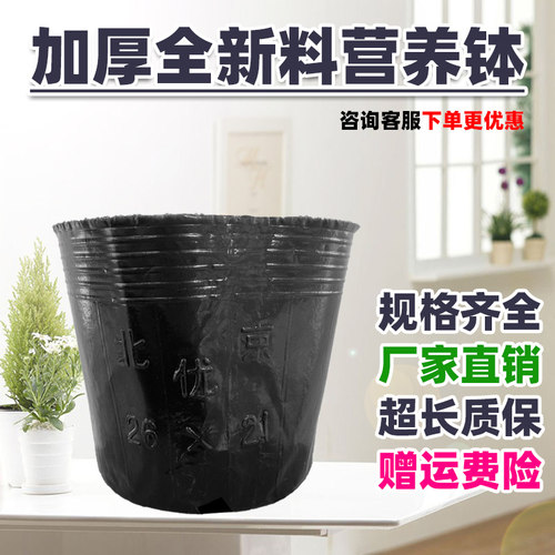 加厚塑料花盆营养钵育苗杯