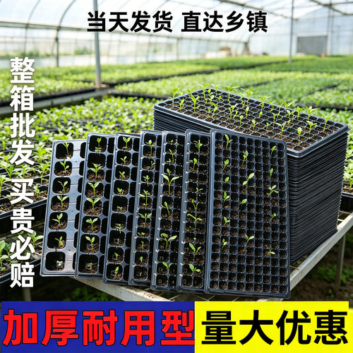 入选年度育苗盘育苗杯销量榜单