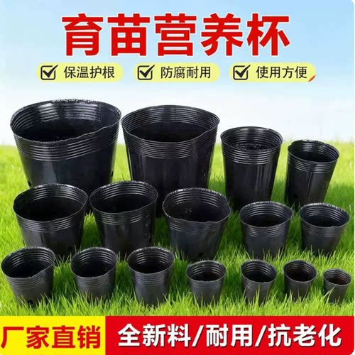 抗老化全新料加厚育苗营养钵