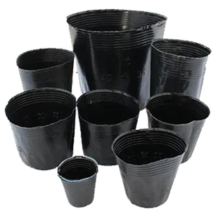 塑料育苗杯黑营养杯花盆一次性营养杯育苗盆树苗杯厂家直销营养钵