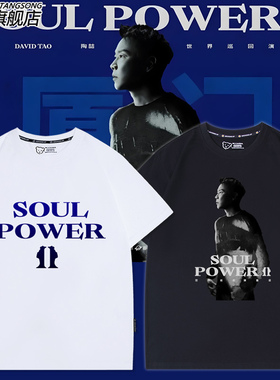 DJ凤凰之子 ILLENIUM PRISM SCOOP周边短袖T恤男女纯棉衣服夏上衣