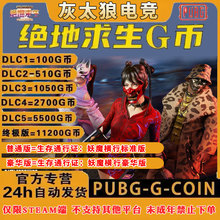 PUBGG币CDK兑换码绝地求生兰博基尼通行证皮肤点卷官方充值激活