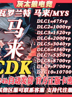 瓦罗兰特 美 欧 港 缅甸 泰服 俄罗斯VP充值 Valorant上号充值cdk