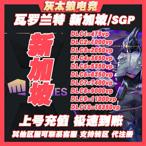 Valorant瓦罗兰特 SGP新加坡服 VP特务
