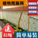种植爬藤网植物攀爬网家用蔬菜瓜果网种黄瓜百香果园艺锁边加粗