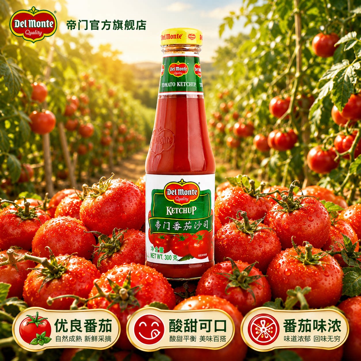 美国百年品牌帝门番茄沙司酱图片