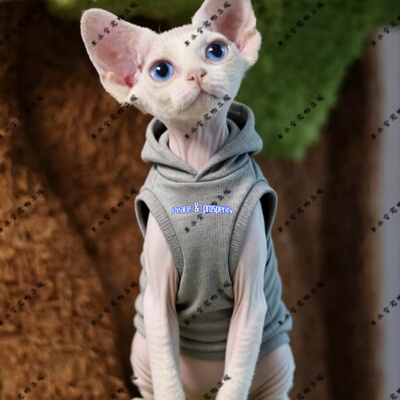 Peace & prosperity萌宠猫衣服宠物服装红色圆领灰色黑色连帽卫衣