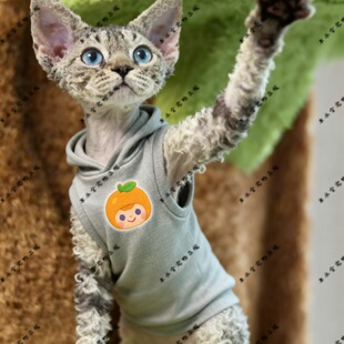 橙橘甜笑脸两脚衣猫咪萌宠猫衣宠物红色圆领灰色黑色连帽卫衣