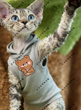 呆萌棕熊两脚衣猫咪萌宠猫衣宠物红色圆领灰色黑色连帽卫衣